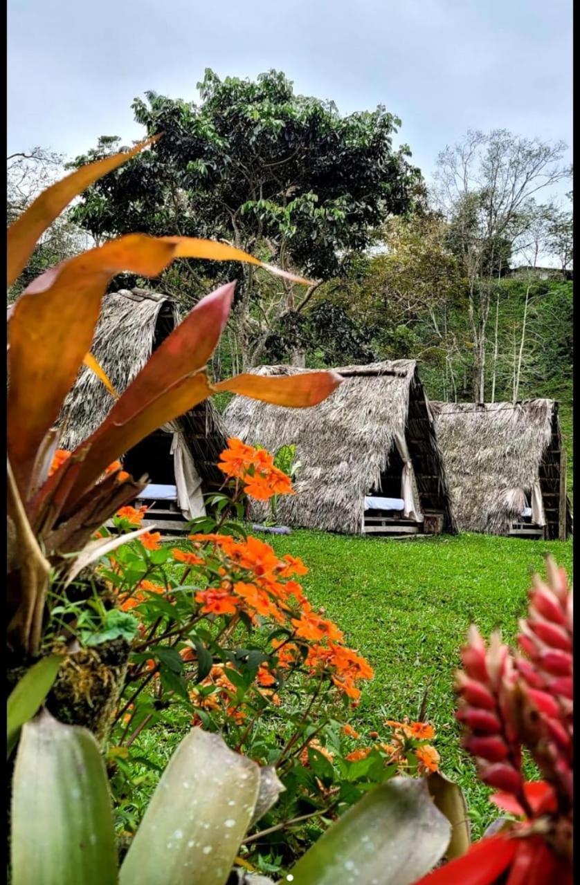 Rancho Porvenir Bed & Breakfast Mocoa Dış mekan fotoğraf