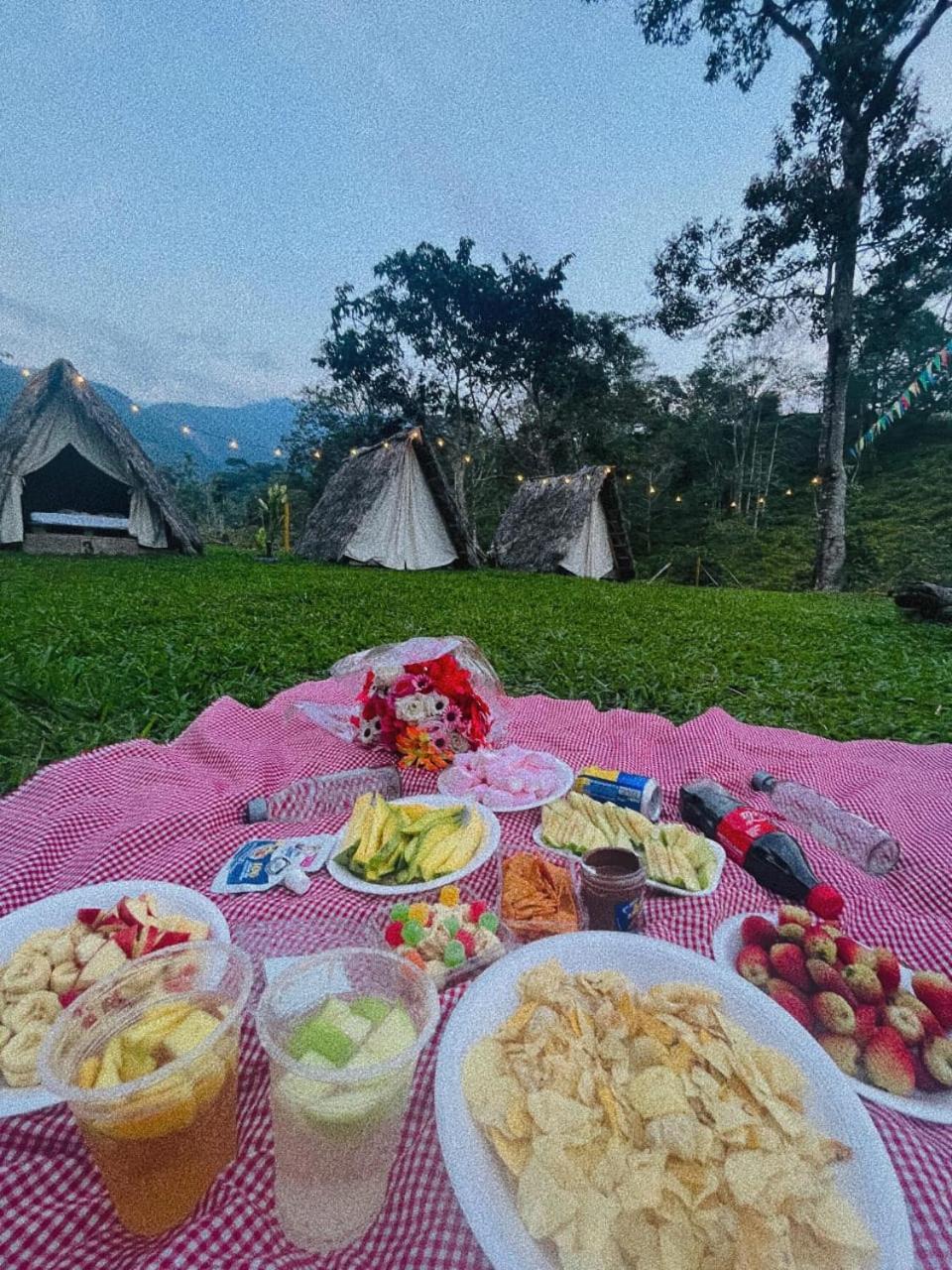 Rancho Porvenir Bed & Breakfast Mocoa Dış mekan fotoğraf